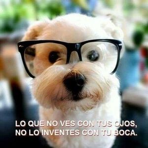 Meet your Posher, Diego